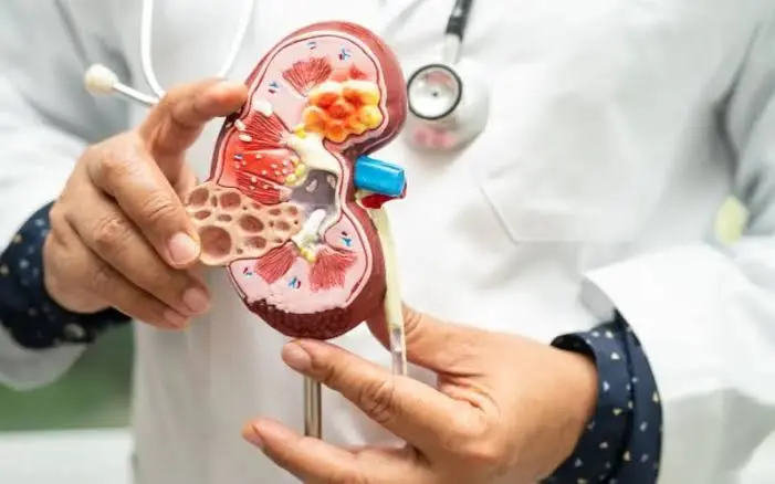 Nephrology