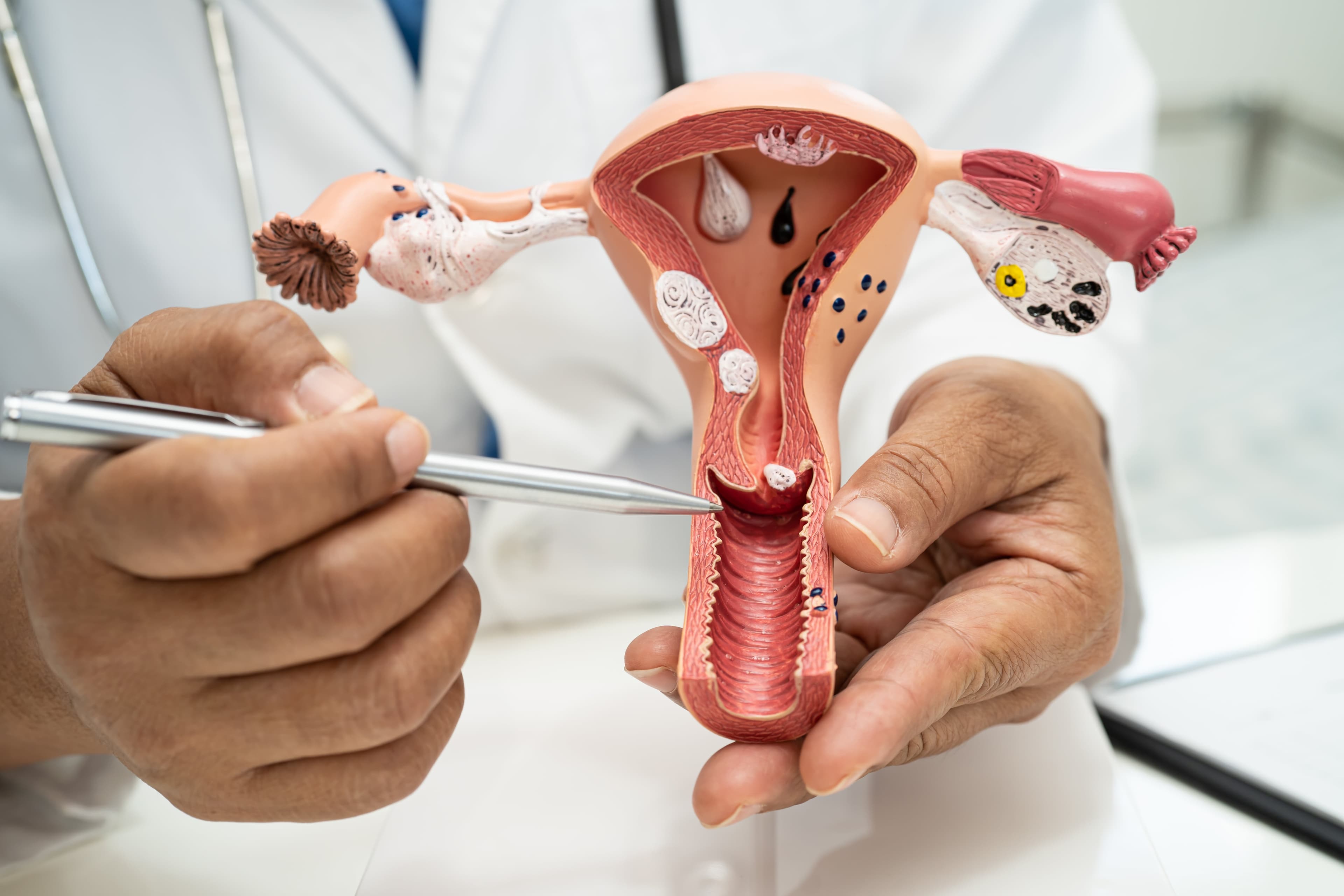 Obstetrics & Gynaecology